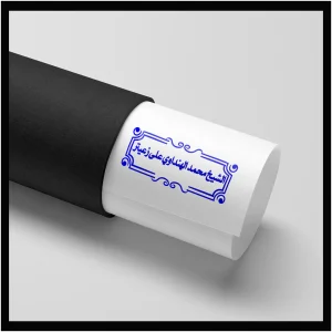الشيخ محمد الهنداوي